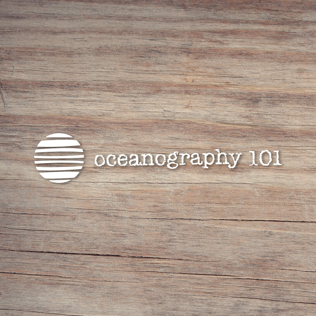 Oceanography 101